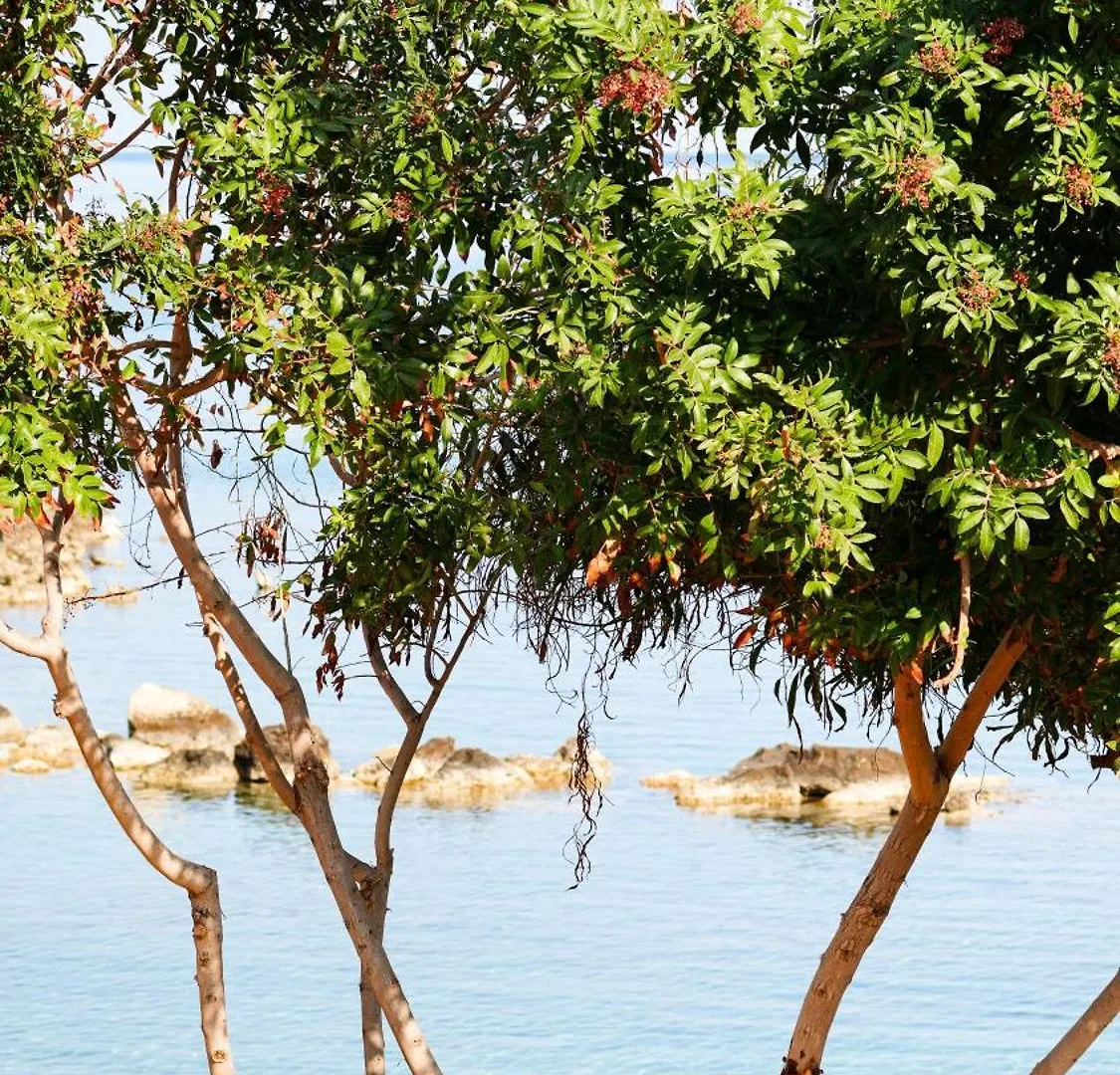 Sirena Bay Beach House And Luxury Suites Protaras